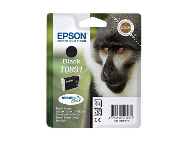 Image of Epson DURABrite Ultra Ink T 089 inktpatroon zwart T 0891