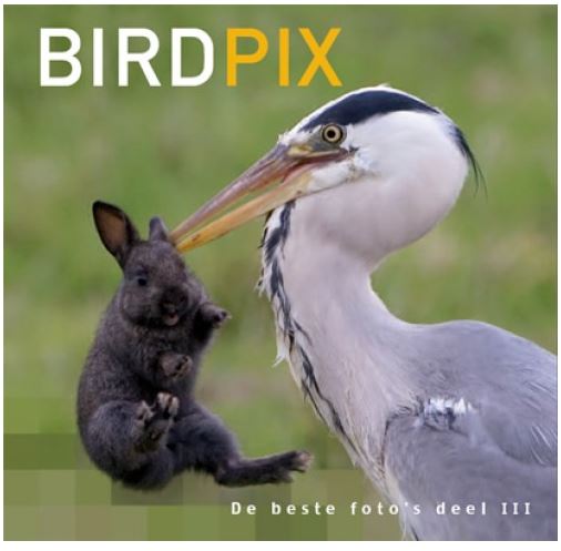Image of Birdpix 3 - De Beste Foto&apos;S
