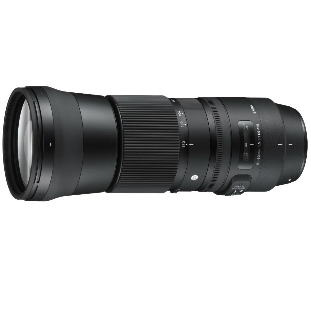 Image of Sigma 150-600mm F/5-6.3 DG OS HSM Contemporary Nikon