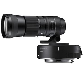 Image of Sigma 150-600mm F/5-6.3 DG OS HSM Contemporary Canon + TC-1401 (1.4x) Teleconverter