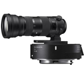 Image of Sigma 150-600mm F/5-6.3 DG OS HSM Sports Nikon + TC-1401 (1.4x) Teleconverter