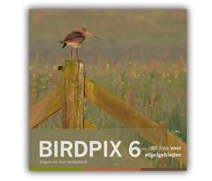 Image of Boek Birdpix 6, 88 tips voor vogelfotografie