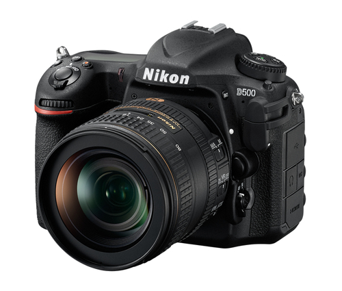 Image of Nikon D500 + 16-80mm F/2.8-4.0 VR