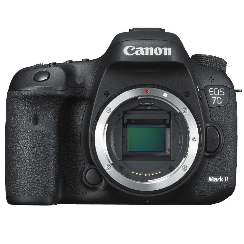Image of Canon EOS 7D mark II body
