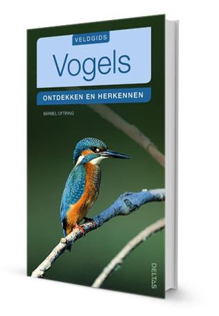 Image of Veldgids Vogels - Ontdekken en herkennen